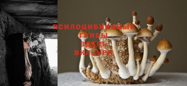 соль курить ск Бугульма