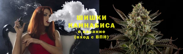 ECSTASY Бородино