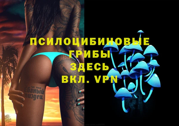 дурь Каменногорск