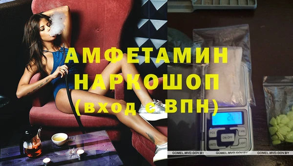 ECSTASY Бородино
