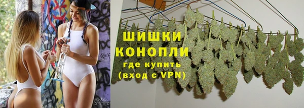 ECSTASY Бородино