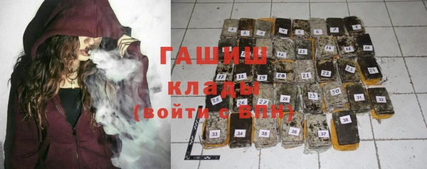 ECSTASY Бородино