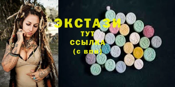 ECSTASY Бородино