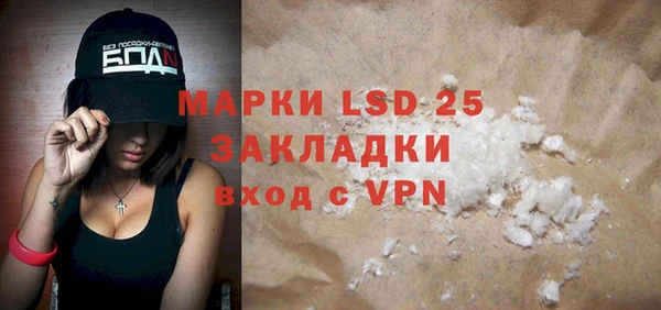 ECSTASY Бородино