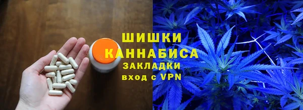 стаф Каменск-Шахтинский