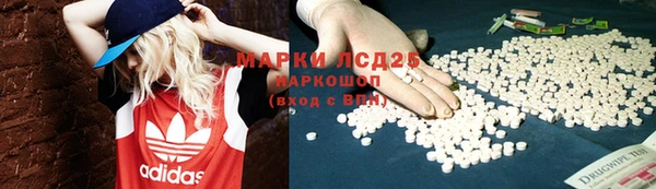 ECSTASY Бородино